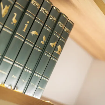 Weidenstieg App 2 Апартаменты *